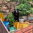 김용우농장 이미지