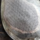 수선짱