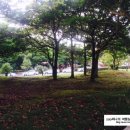 제주포크마실 이미지