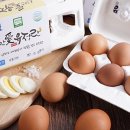 애란농장 이미지