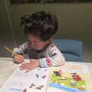 (주)일진정보 | 주말일기 벚꽃사진 맥모닝 시댁 야채찜 유아영어공부 미술학원 라이딩