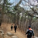(주) 철마관광 | 부산 5산 종주(230317~18) 장산-아홉산-철마산-금정산-백양산(장아철금백)