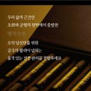 아모레금강