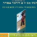 언니날다
