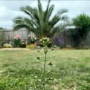 휴일기록 이미지