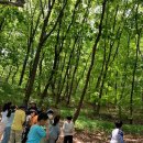 관모초교 이미지