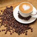 기초로스팅과 향미분석과정 | 커피로스팅 단계 완벽 정리｜생두부터 디벨롭까지 한 번에 이해하기