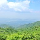 옛고을 추어탕 이미지