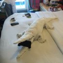 웰컴호텔 이미지