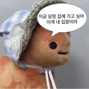 스포플레이 김제점 | [62.김포 방탈출 / 공포? / 최면 / 풀꽃길] 진짜 최면당한 것 같아요 .. 김포 제로월드 약?공테? 테마...