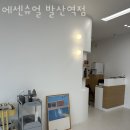 에센슈얼 이미지