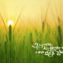 오포2동-4 이미지