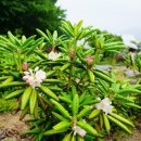 자생식물원 이미지