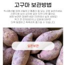광선축산 | 🍠 달콤하고 촉촉한 무농약 해남 밤고구마｜좋은상품GP 체험 후기