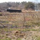 임피농장 이미지