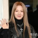 헤어무드 이미지