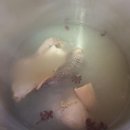 양평해장국 전문점 이미지