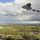 월드컵목장 | <아기랑 제주도 2일차> 한화리조트 제주 / 밭디 목장 / 자파리 감귤체험농장 / 워터월드