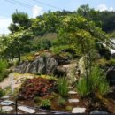 정선 아리랑 농원 이미지