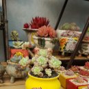 연화농장 이미지