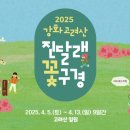 주정차 단속 - 032 이미지