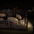 길식농장 이미지