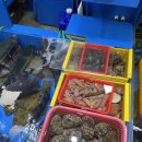 청수당구장 이미지