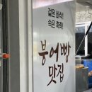월드붕어 이미지