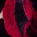 신나는 댄스와 함께! <b>듀</b> 피트 렌 구축법 알아보기