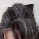 TS HAIR | TS저스트샴푸 후기 3달 내돈내산 솔직하게