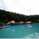 베토벤마을 POOL 글램핑 | 홍천글램핑 베토벤마을 POOL 글램핑의 대형수영장까지 정말 만족했어요
