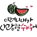 으뜸플러스안경(천호점) 이미지