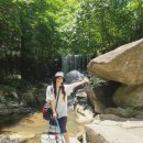 산속닭곰탕 | 하동 애견동반 여행 삼성궁, 지리산 정기 서린 배달성전