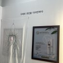 열바나 자연미인