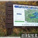 울진금강송우체국 이미지