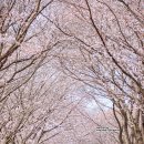 간전중앙로 이미지