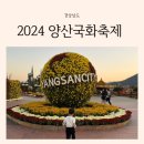 황산공원(황산C) | 대구 근교 가볼 만한 곳 양산 국화축제 황산공원 주차 볼거리 먹거리