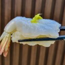 롤모델(ROLL MODEL) 이미지