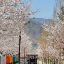 청도숯불갈비 이미지