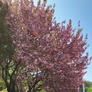 충혼탑공중화장실 이미지