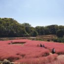 서광리-20 이미지