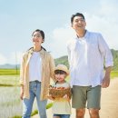 관음포연꽃마을협동조합 이미지