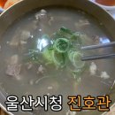 진호관 | [울산맛집] 국물보다 고기가 더 많다고 유명해진 시청 근처 갈비탕 맛집 "진호관" 방문 후기