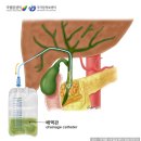 은빛사랑병원 네이버블로그