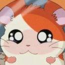 아지돈부리 | 청담 맛집 스시코우지 오마카세 런치 후기 : 코우지 셰프님의 유쾌한 '자본주의의 맛'