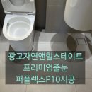 광교자연앤힐스테이트 | 광교자연앤힐스테이트 퍼플렉스 P10 줄눈 시공 후기