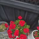 행복이 넘치는 강 펜션 | 엄마랑 같이 효도 여행 떠나기 딱 좋았던 홍천펜션 행복이 넘치는 강펜션 후기!