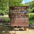 공작산생태숲 이미지