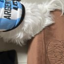 주술육회연어 | 해와 비가 온 마음에 흐드러져