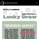 럭키코알라